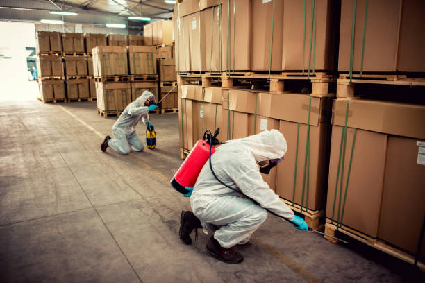 Best Cockroach Control Services  in West Point, UT
