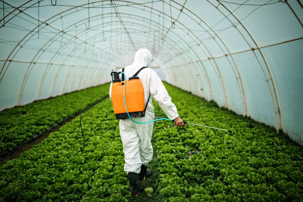 Best Best Pest Control Companies  in West Point, UT