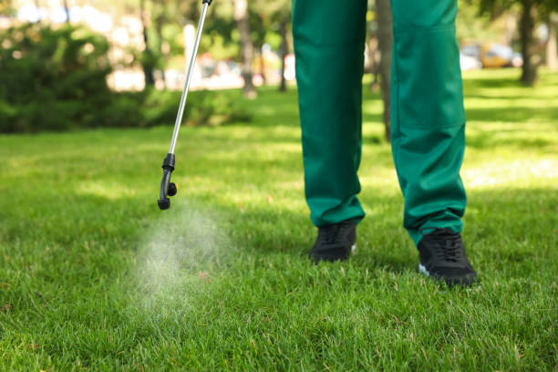 Best Rat Extermination Near Me  in West Point, UT