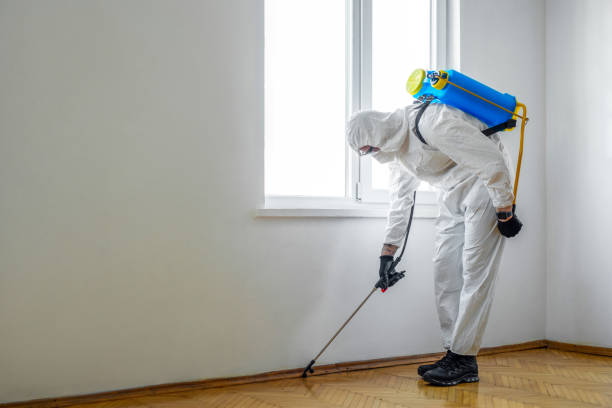 Best Wildlife Control Services  in West Point, UT