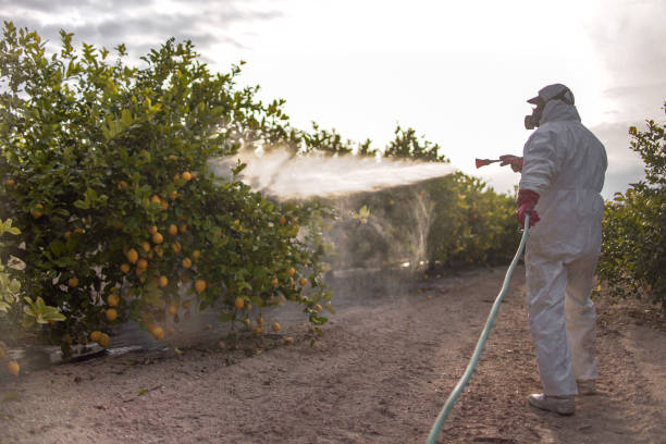 Pest Control Cost in West Point, UT