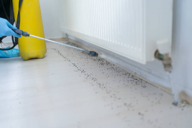 Best Pest Inspection Near Me  in West Point, UT