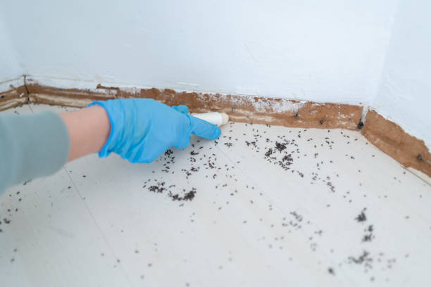 Wildlife Control Services in West Point, UT